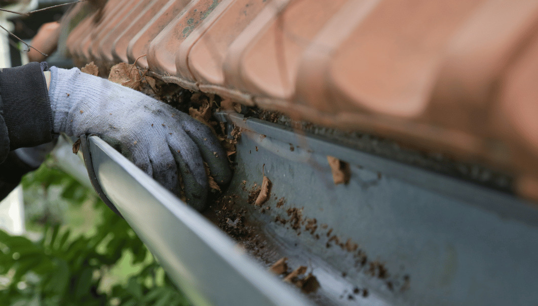 Roofline Top Tips - Clearing Gutters